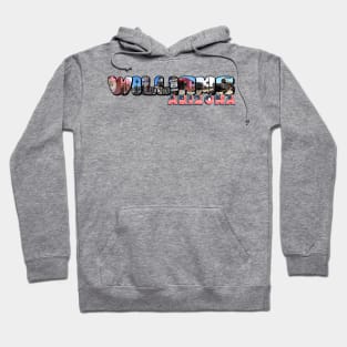 Williams Arizona Big Letter Hoodie